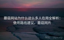 蘑菇网站为什么这么多人在用全解析：使用路线建议，蘑菇网片