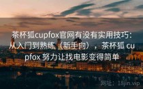 茶杯狐cupfox官网有没有实用技巧：从入门到熟练（新手向），茶杯狐 cupfox 努力让找电影变得简单