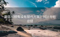 蘑菇视频有没有替代方案？对比分析总结