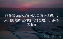 茶杯狐cupfox官网入口值不值得用：入门到熟练全流程（对比后），茶杯狐 fox