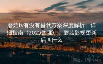 蘑菇tv有没有替代方案深度解析：详细指南（2025整理），蘑菇影视更新后叫什么