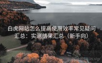 白虎网站怎么提高使用效率常见疑问汇总：实测结果汇总（新手向）