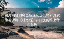 白虎网站到底更新速度怎么样？真实情况拆解（对比后），白虎网络上什么意思