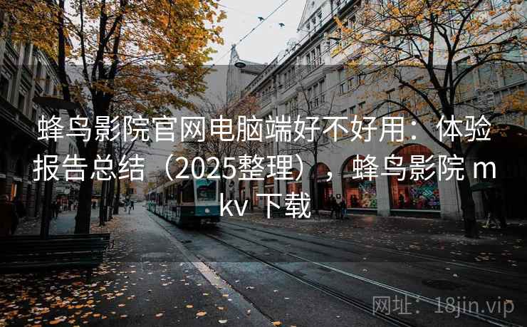 蜂鸟影院官网电脑端好不好用：体验报告总结（2025整理），蜂鸟影院 mkv 下载