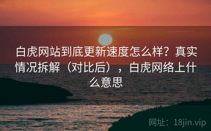 白虎网站到底更新速度怎么样？真实情况拆解（对比后），白虎网络上什么意思