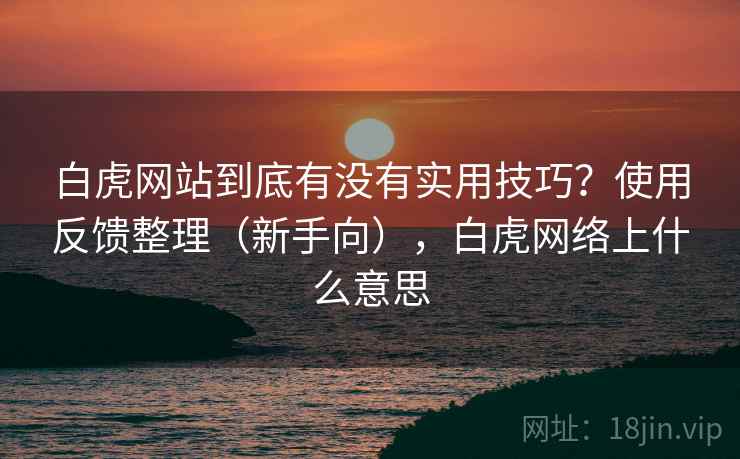 白虎网站到底有没有实用技巧？使用反馈整理（新手向），白虎网络上什么意思