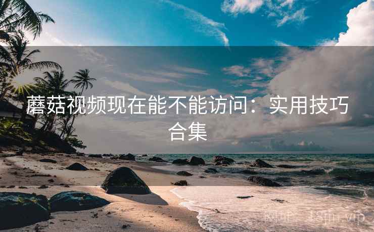 蘑菇视频现在能不能访问：实用技巧合集  第2张