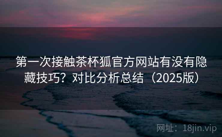 第一次接触茶杯狐官方网站有没有隐藏技巧？对比分析总结（2025版）  第1张