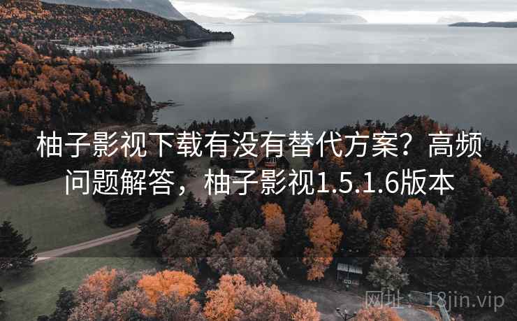 柚子影视下载有没有替代方案？高频问题解答，柚子影视1.5.1.6版本  第2张
