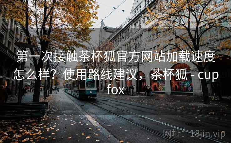 第一次接触茶杯狐官方网站加载速度怎么样？使用路线建议，茶杯狐 - cupfox  第2张