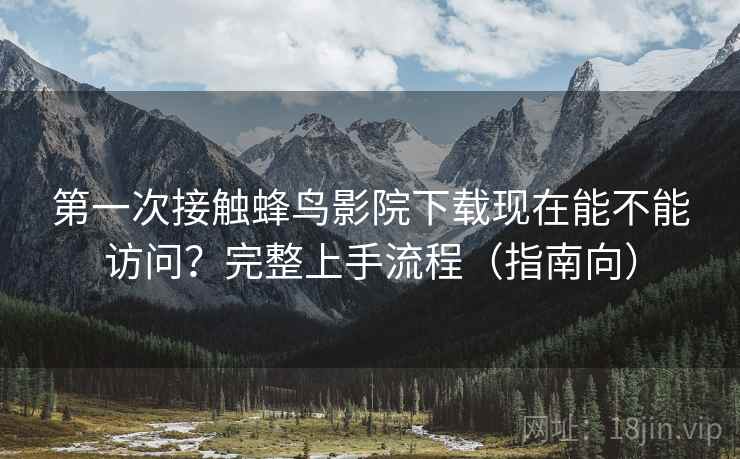第一次接触蜂鸟影院下载现在能不能访问？完整上手流程（指南向）  第2张